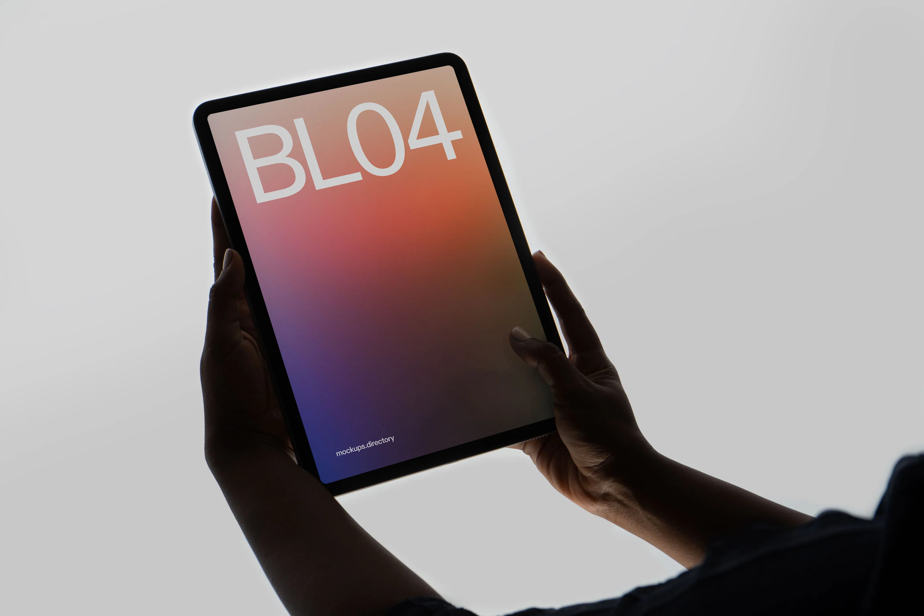 BL04 — iPad Pro - Image 2