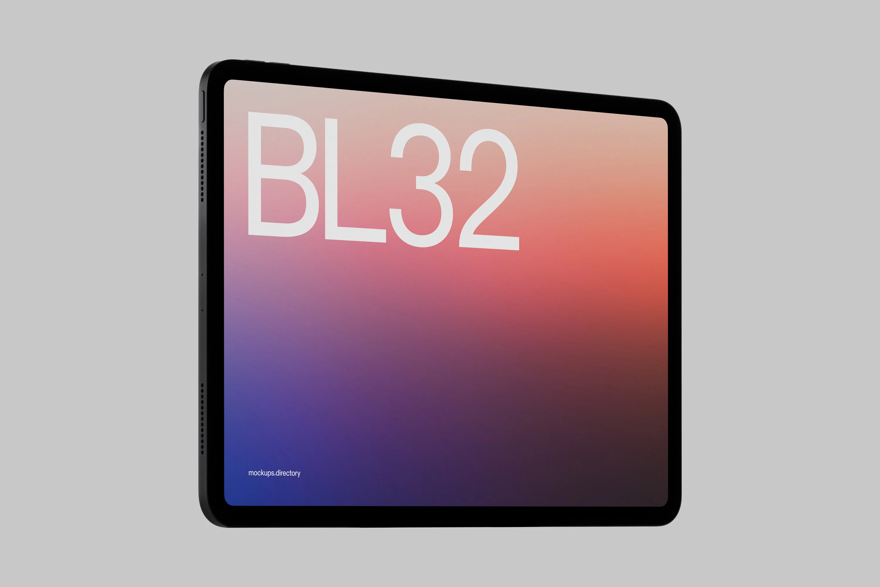 BL32 — iPad Pro - Image 2