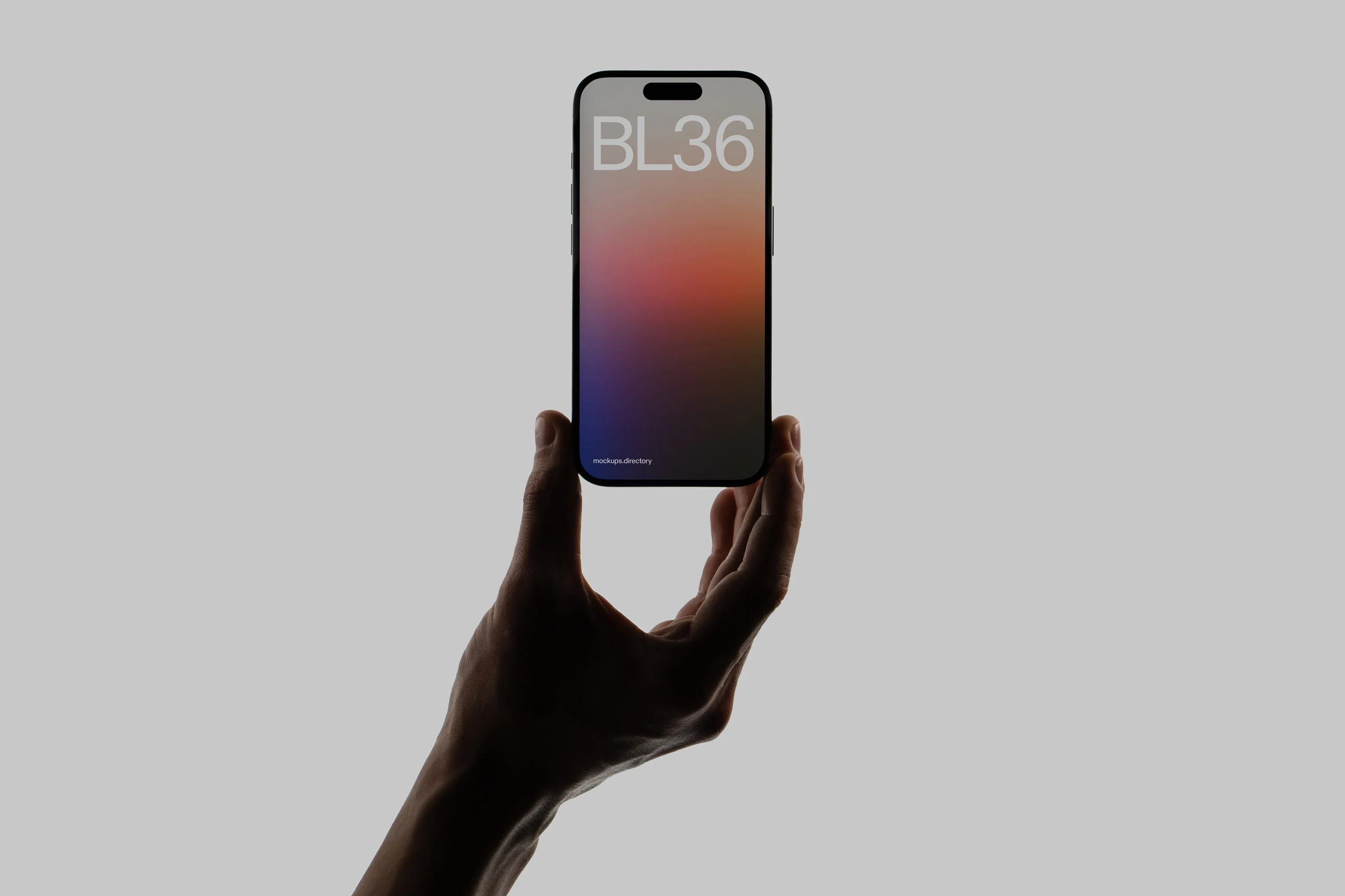 BL36 — iPhone 15 Pro - Image 2