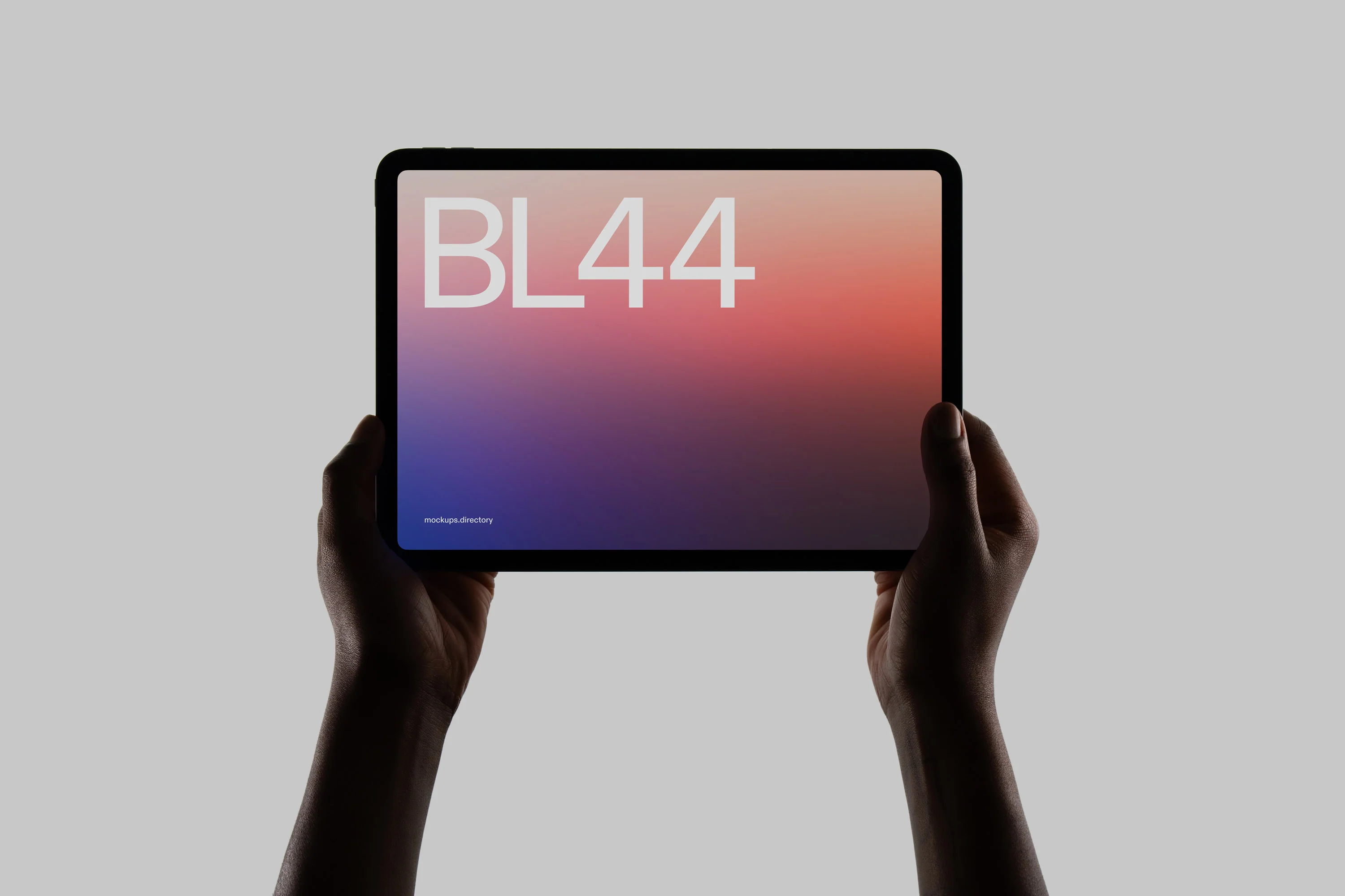 BL44 — iPad Pro - Image 2