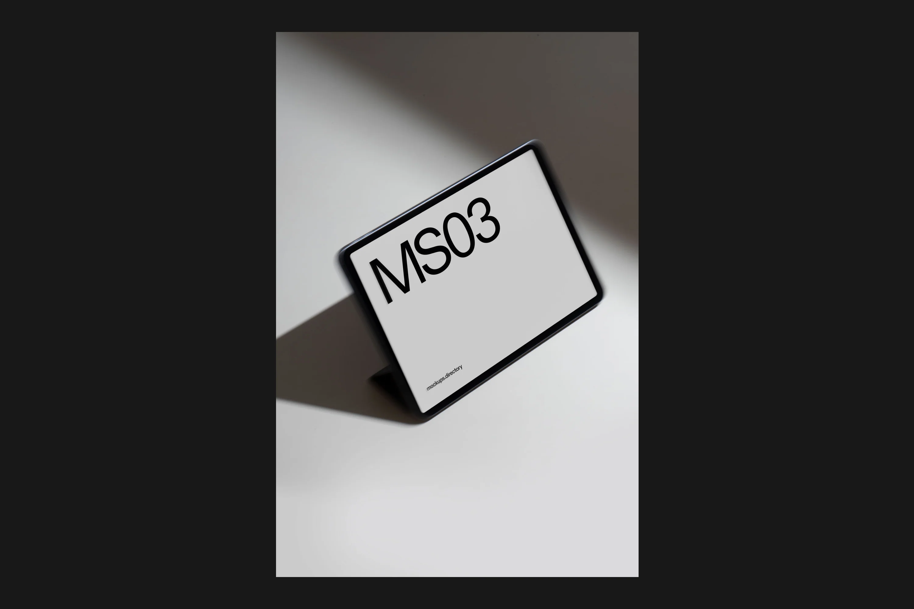 MS03 — iPad Pro - Image 2