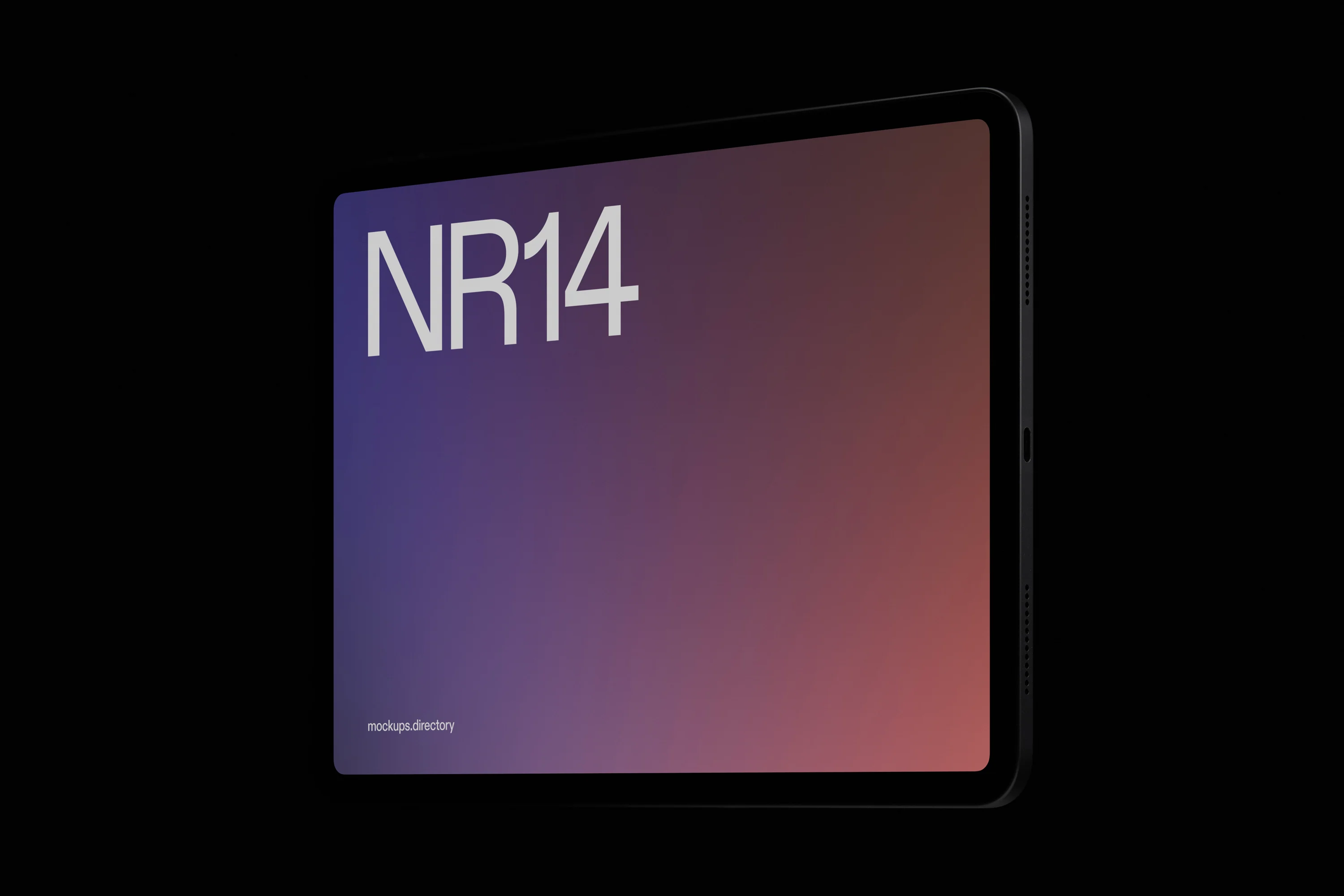 NR14 — iPad Pro - Image 2