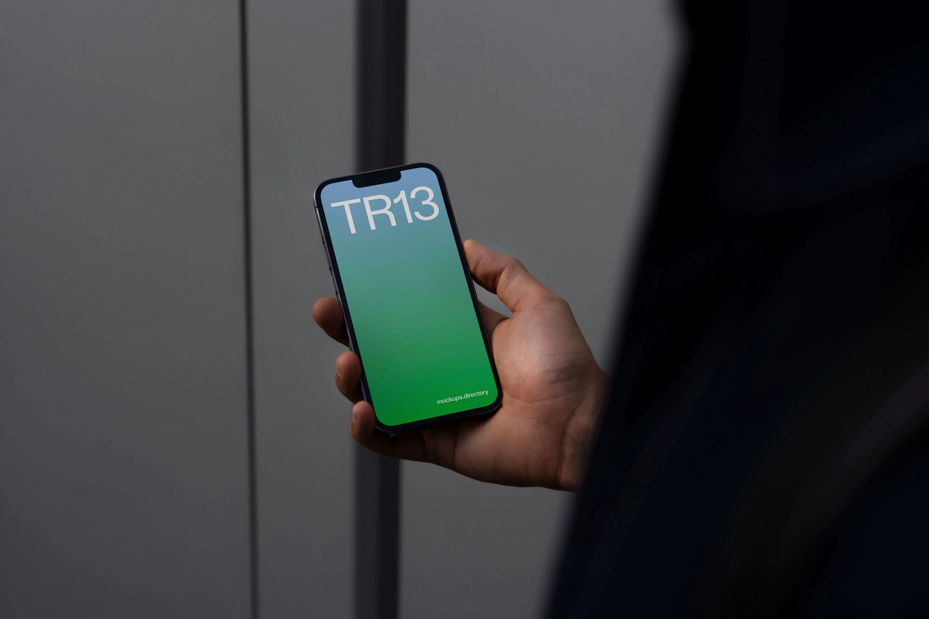 TR13 — iPhone 13 Pro - Image 2